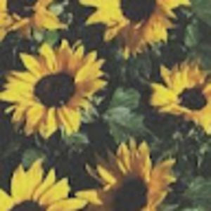 Meet your Posher, Ella